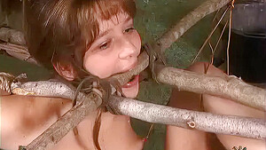 Insex 2005 08 31 By The Fireplace HD Bondage